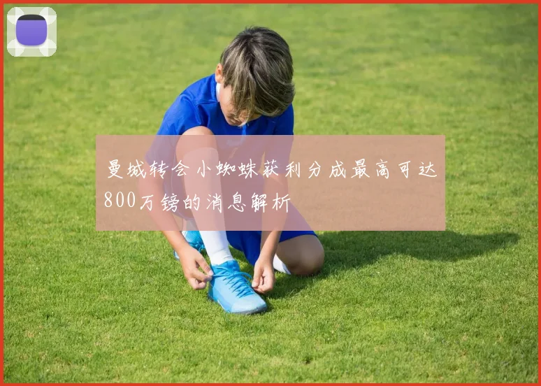 曼城转会小蜘蛛获利分成最高可达800万镑的消息解析