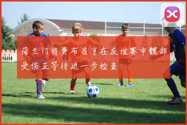 荷兰门将费布吕亨在友谊赛中髋部受伤正等待进一步检查