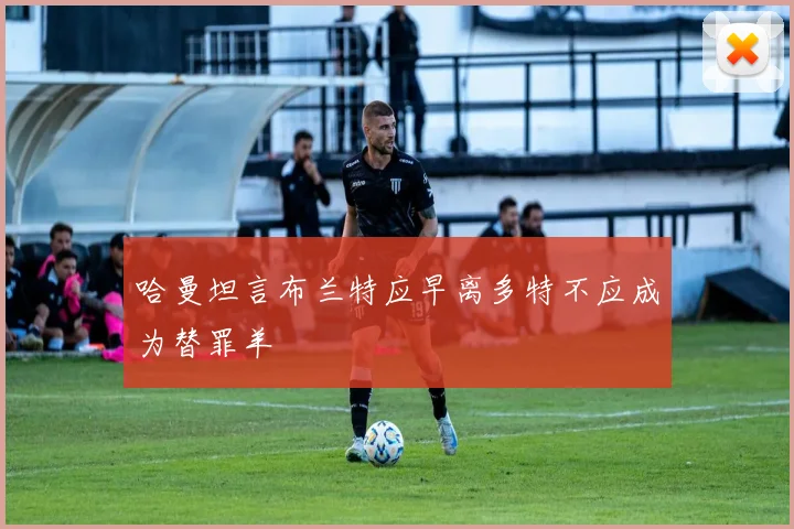 哈曼坦言布兰特应早离多特不应成为替罪羊